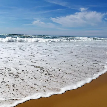 Apartment Fonctionnel A Plages, Parking Gratuit - Fr-1-239-1096